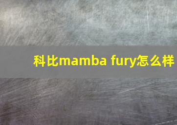 科比mamba fury怎么样